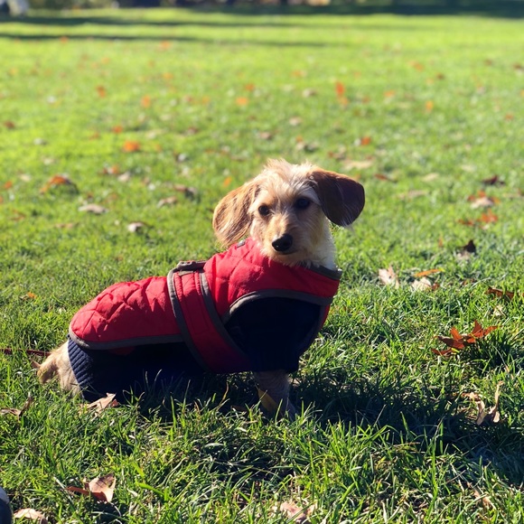 Meet your Posher, Julia - Picture 5 of 7